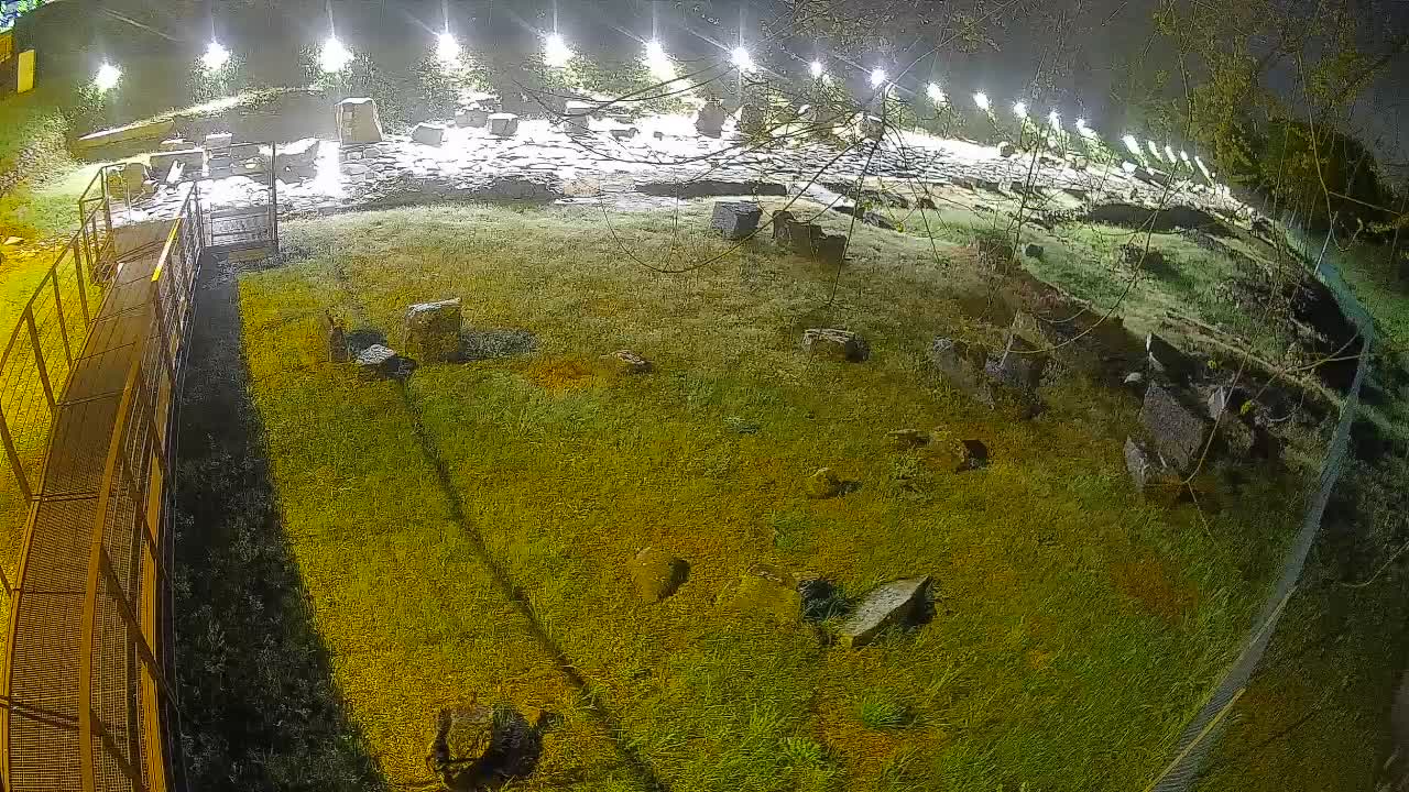 Aquileia – Decumano di Aratria Galla