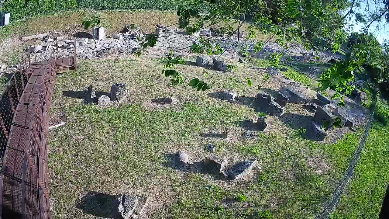 Aquileia – Decumano di Aratria Galla