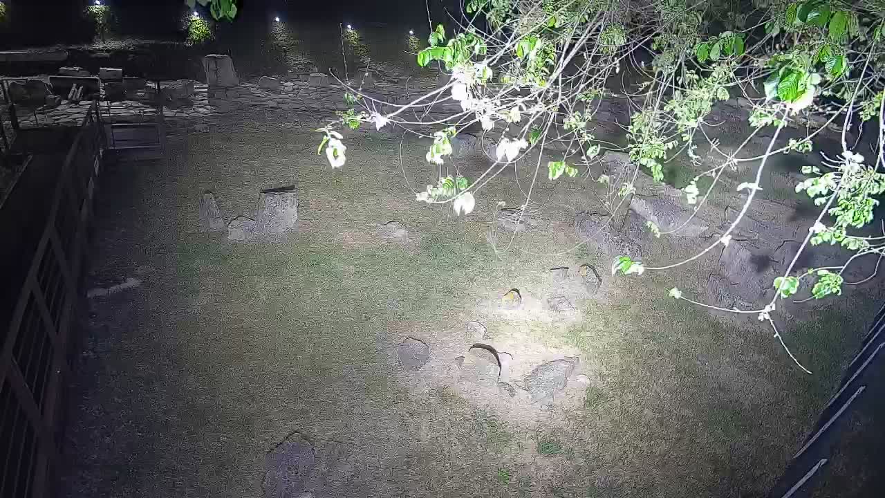 Aquileia – Decumano di Aratria Galla