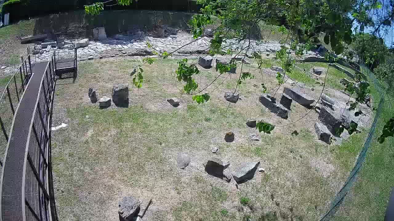 Aquileia – Decumano di Aratria Galla