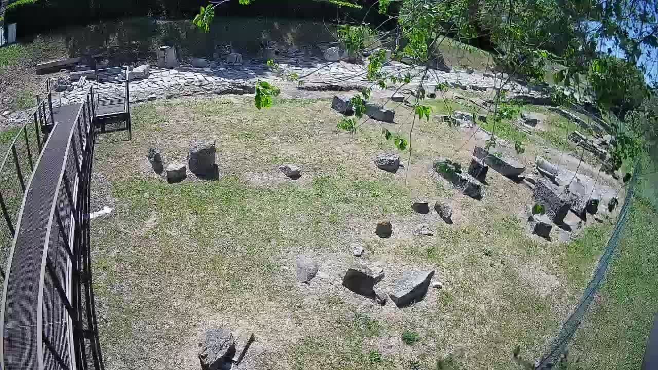 Oglej – Decumano Aratria Galla