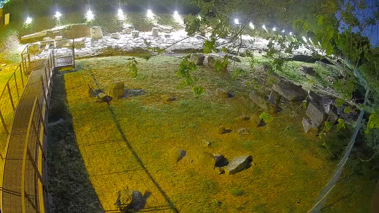 Aquileia – Decumano di Aratria Galla