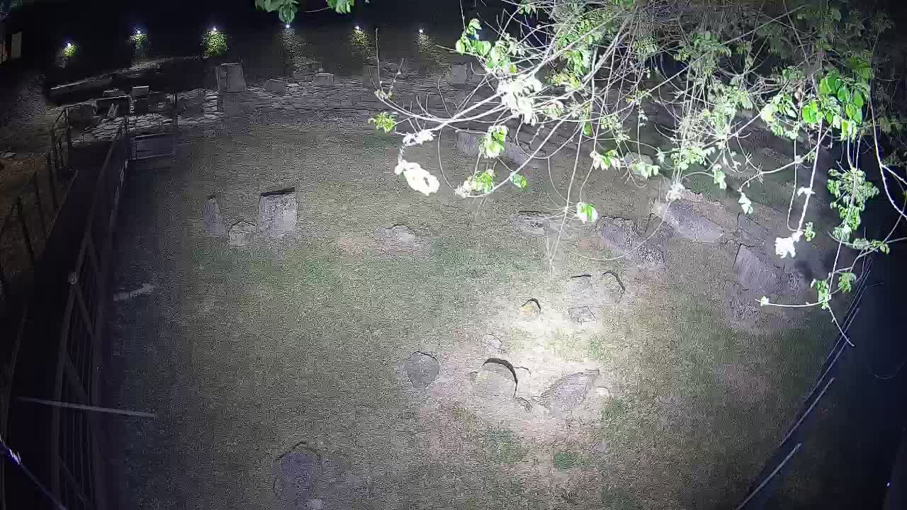 Oglej – Decumano Aratria Galla