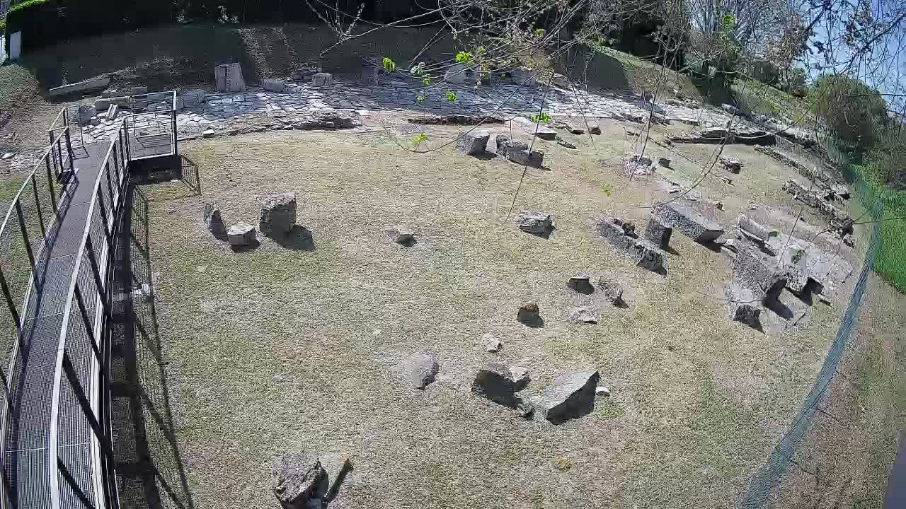 Aquileia – Decumano di Aratria Galla