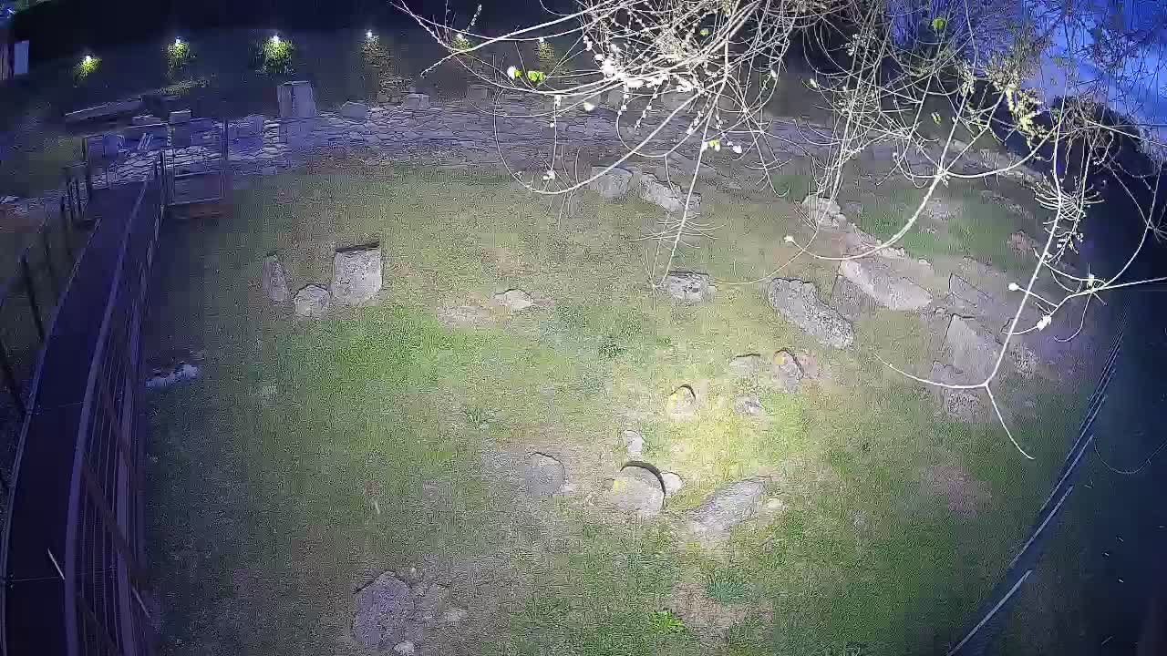 Aquileia – Decumano di Aratria Galla