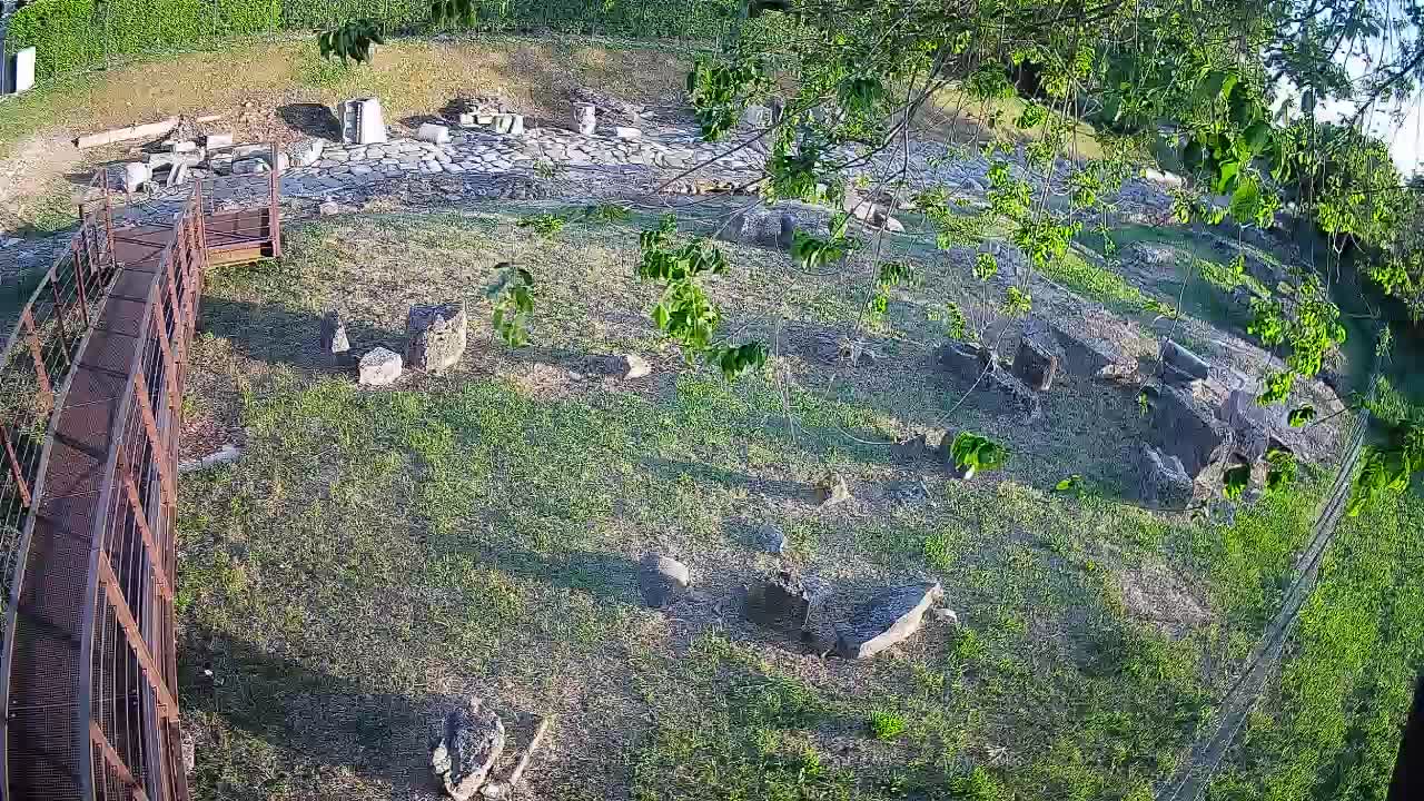 Aquileia – Decumano di Aratria Galla