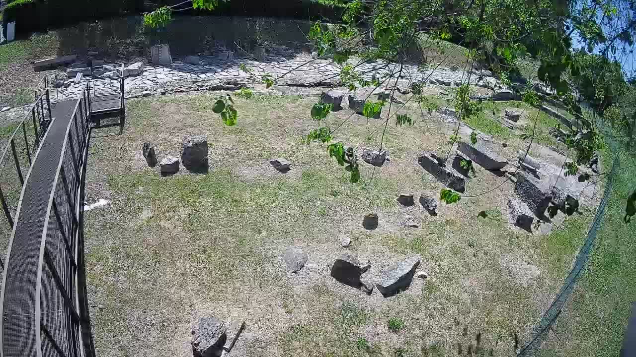 Aquileia – Decumano di Aratria Galla