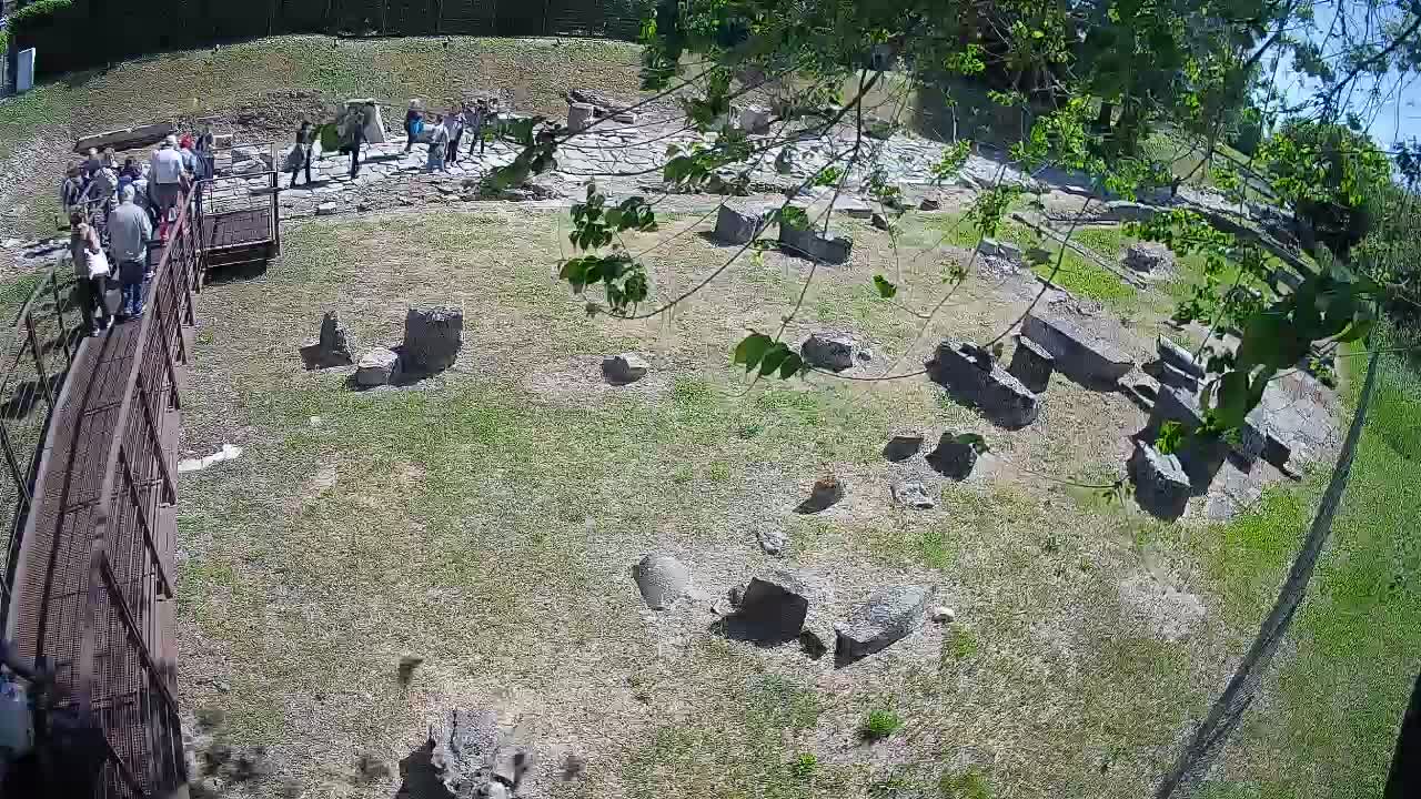 Aquileia – Decumano di Aratria Galla