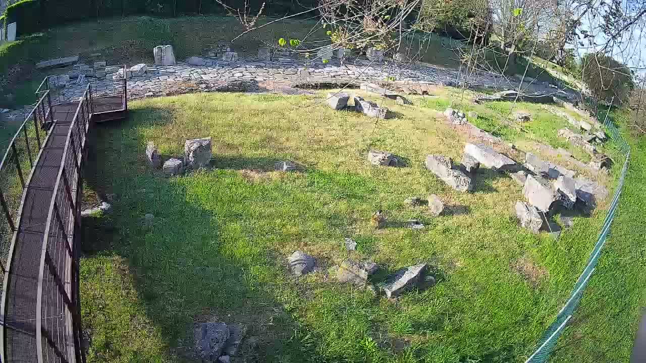 Oglej – Decumano Aratria Galla