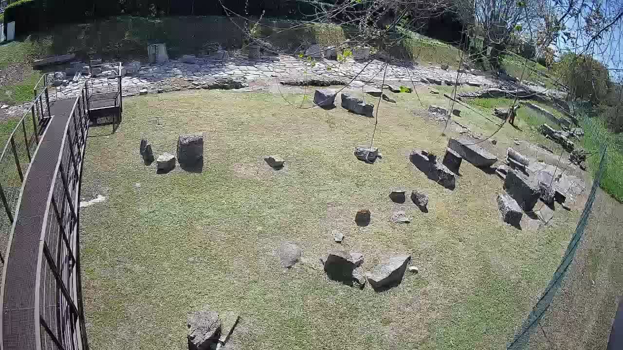 Aquileia – Decumano di Aratria Galla