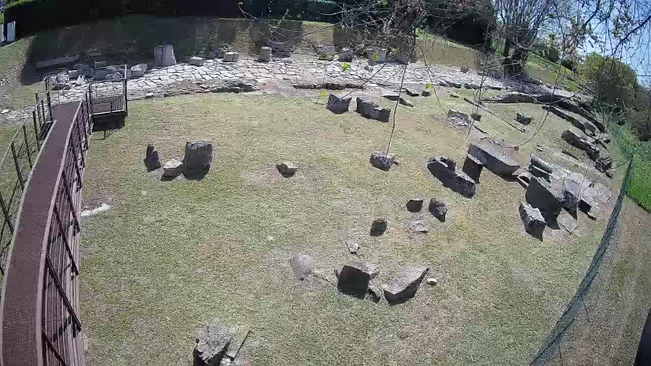 Aquileia – Decumano di Aratria Galla