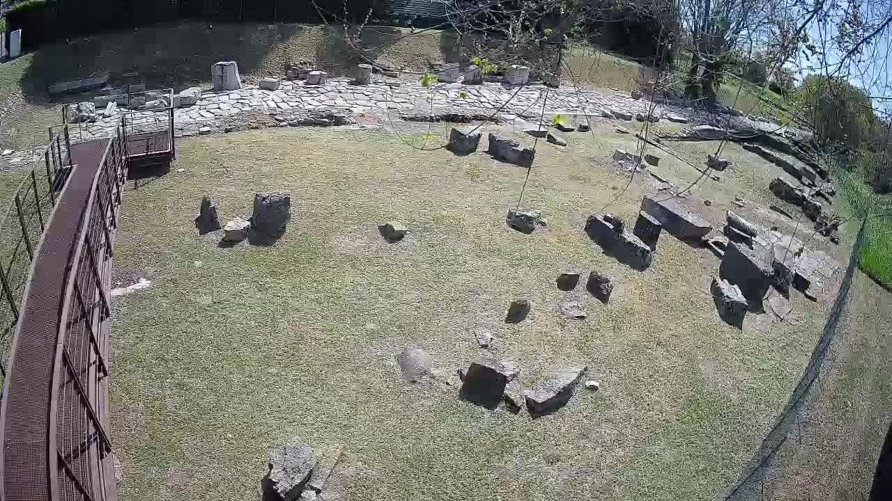 Aquileia – Decumano di Aratria Galla