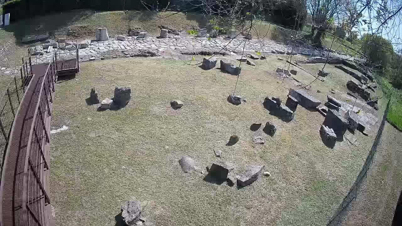 Aquileia – Decumano di Aratria Galla