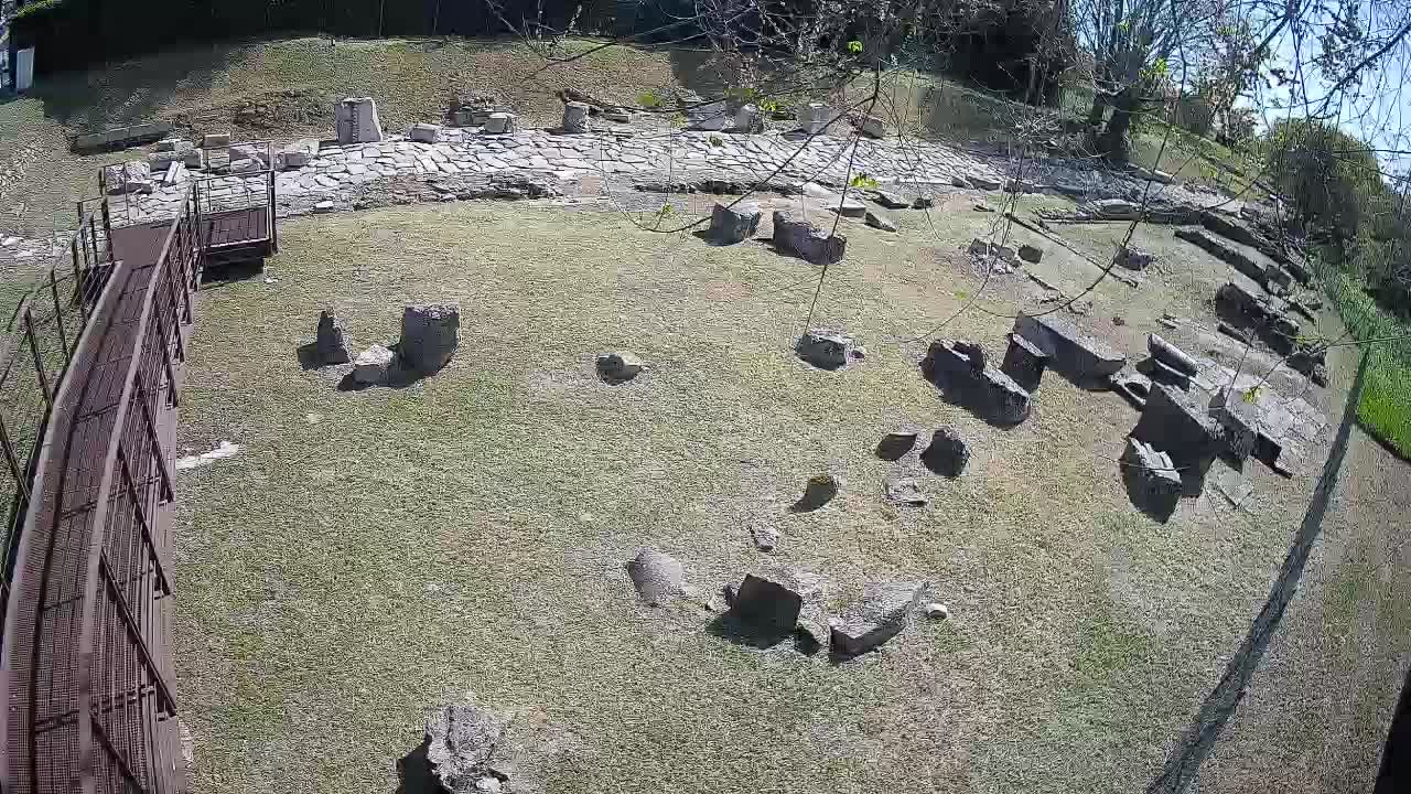 Akvileja – Decumano di Aratria Galla