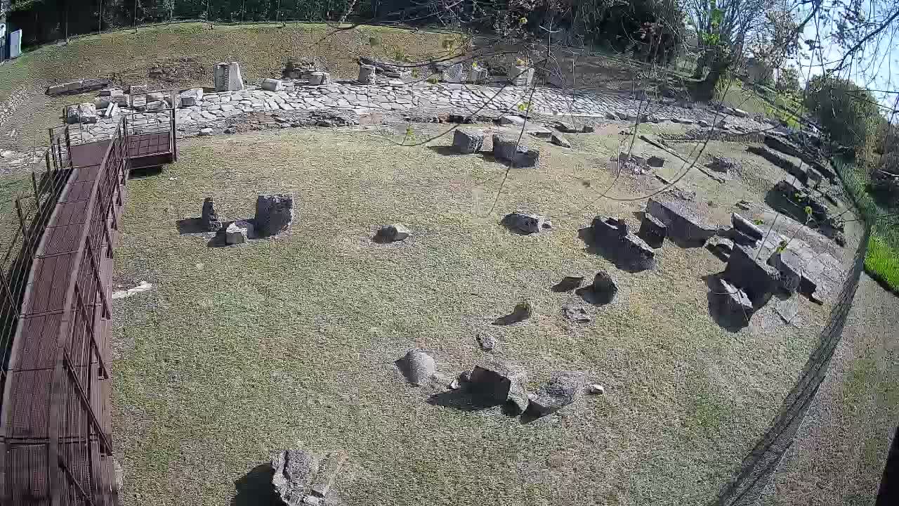 Akvileja – Decumano di Aratria Galla