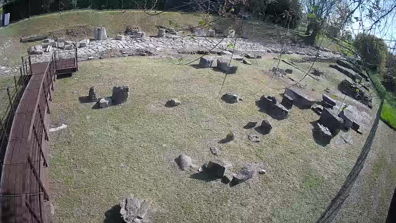 Akvileja – Decumano di Aratria Galla