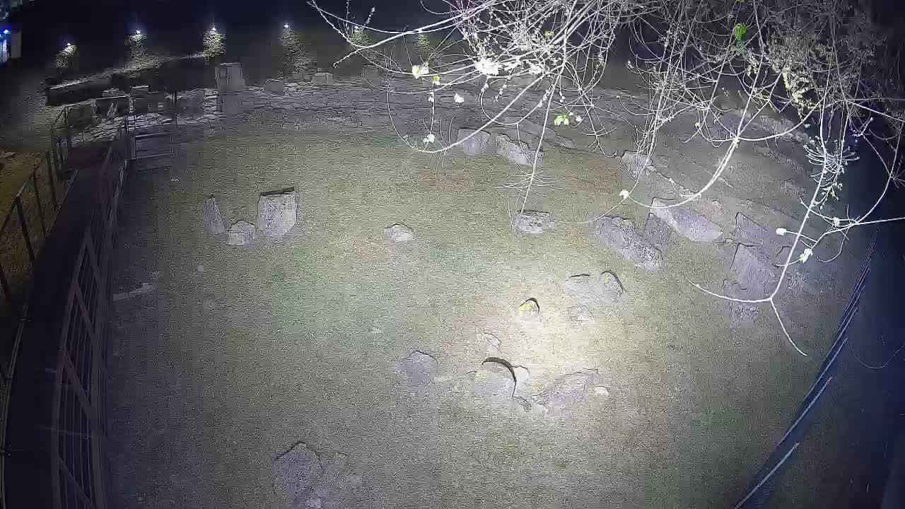 Aquileia – Decumano di Aratria Galla