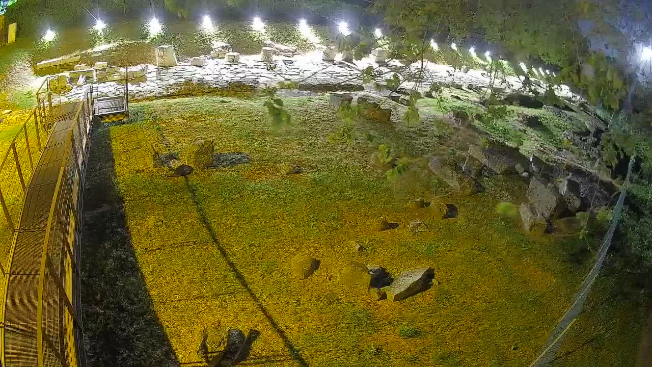 Oglej – Decumano Aratria Galla