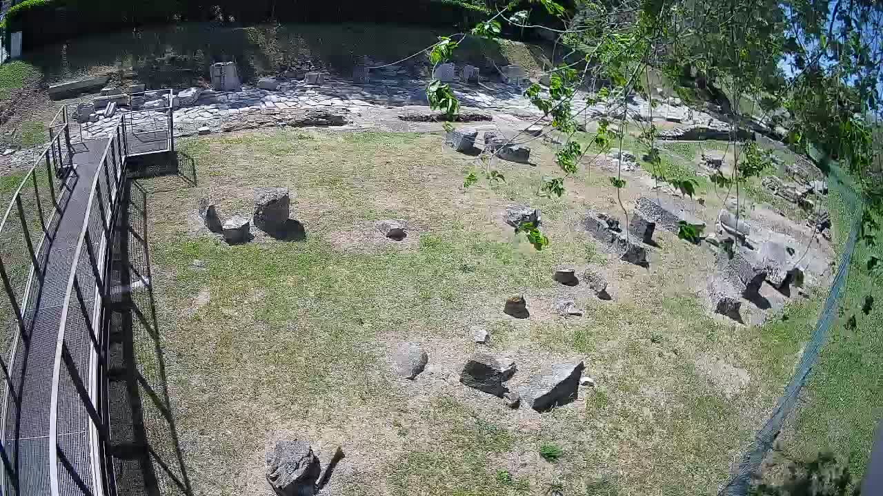 Aquileia – Decumano di Aratria Galla