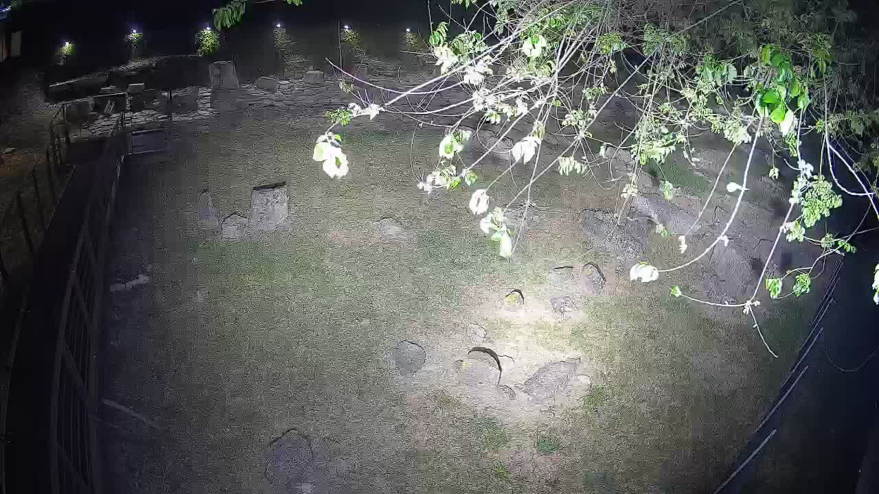 Aquileia – Decumano di Aratria Galla