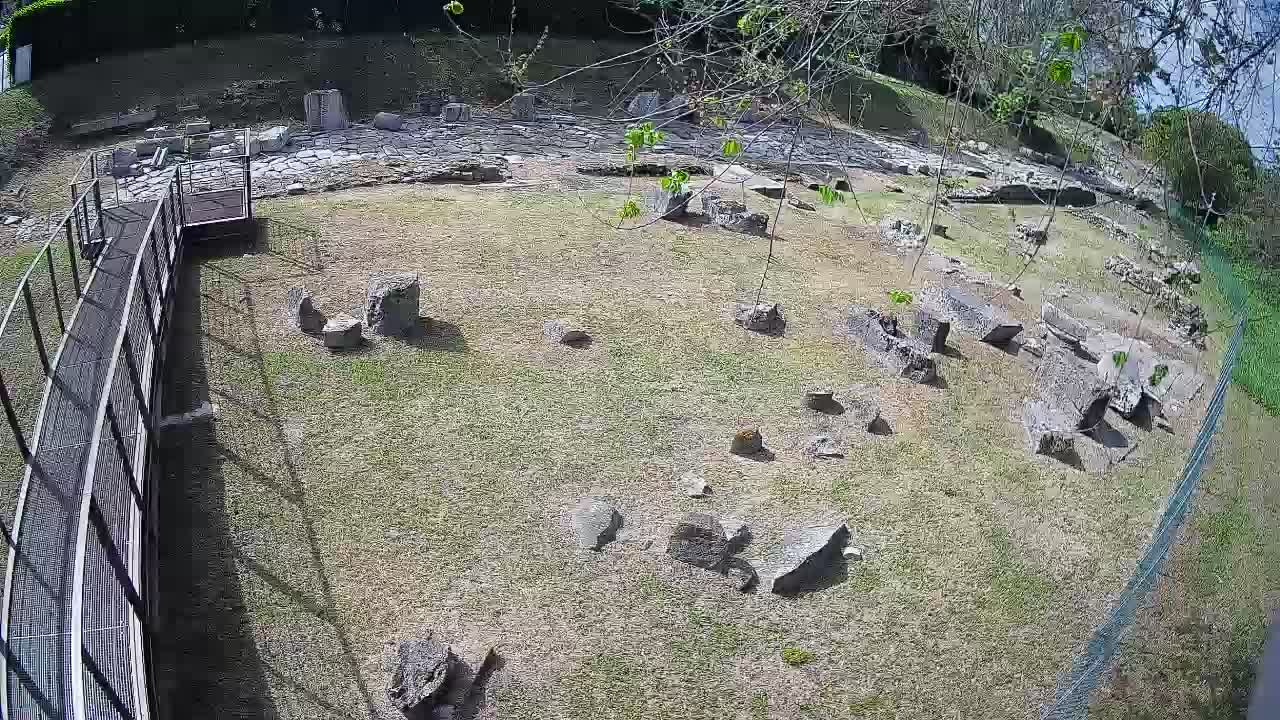 Akvileja – Decumano di Aratria Galla