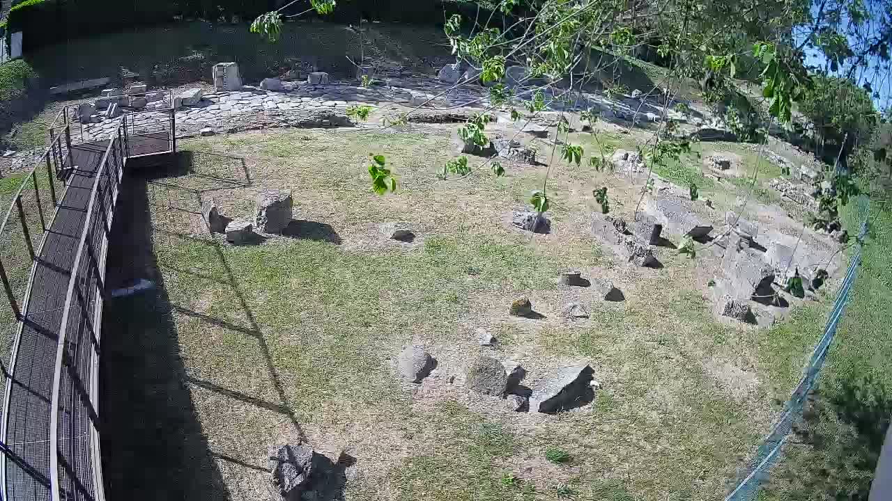 Aquileia – Decumano di Aratria Galla