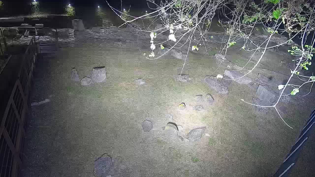 Aquileia – Decumano di Aratria Galla