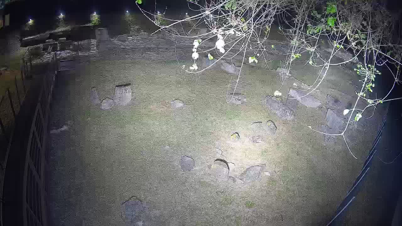 Aquileia – Decumano di Aratria Galla