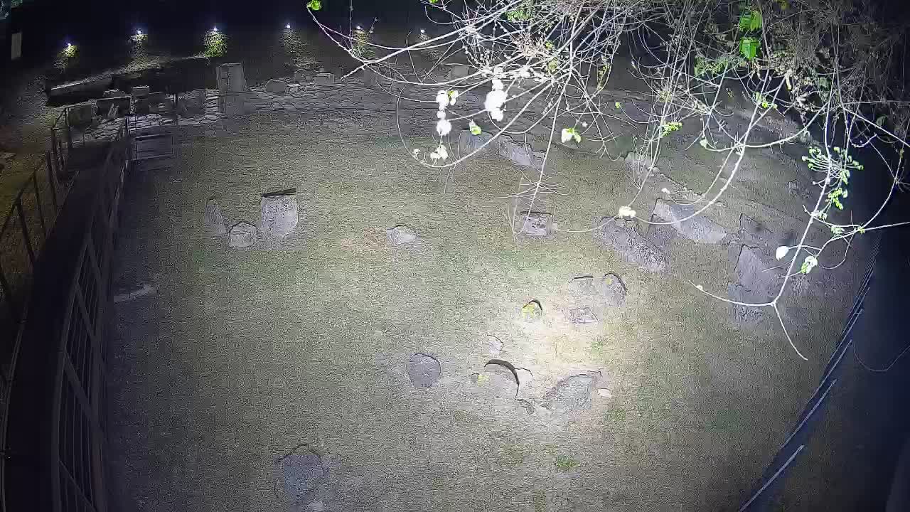 Aquileia – Decumano di Aratria Galla