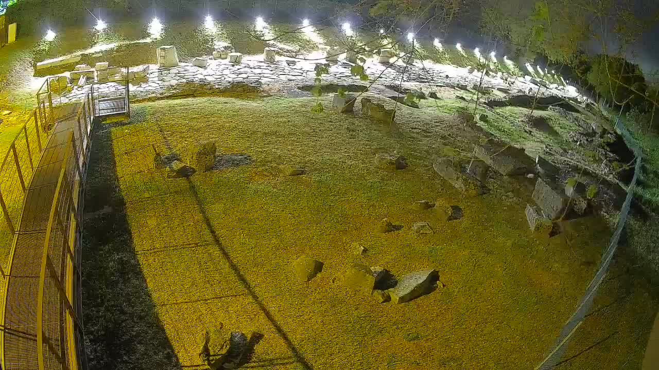 Aquileia – Decumano di Aratria Galla