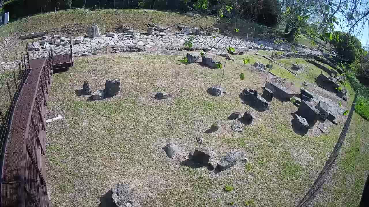 Aquileia – Decumano di Aratria Galla