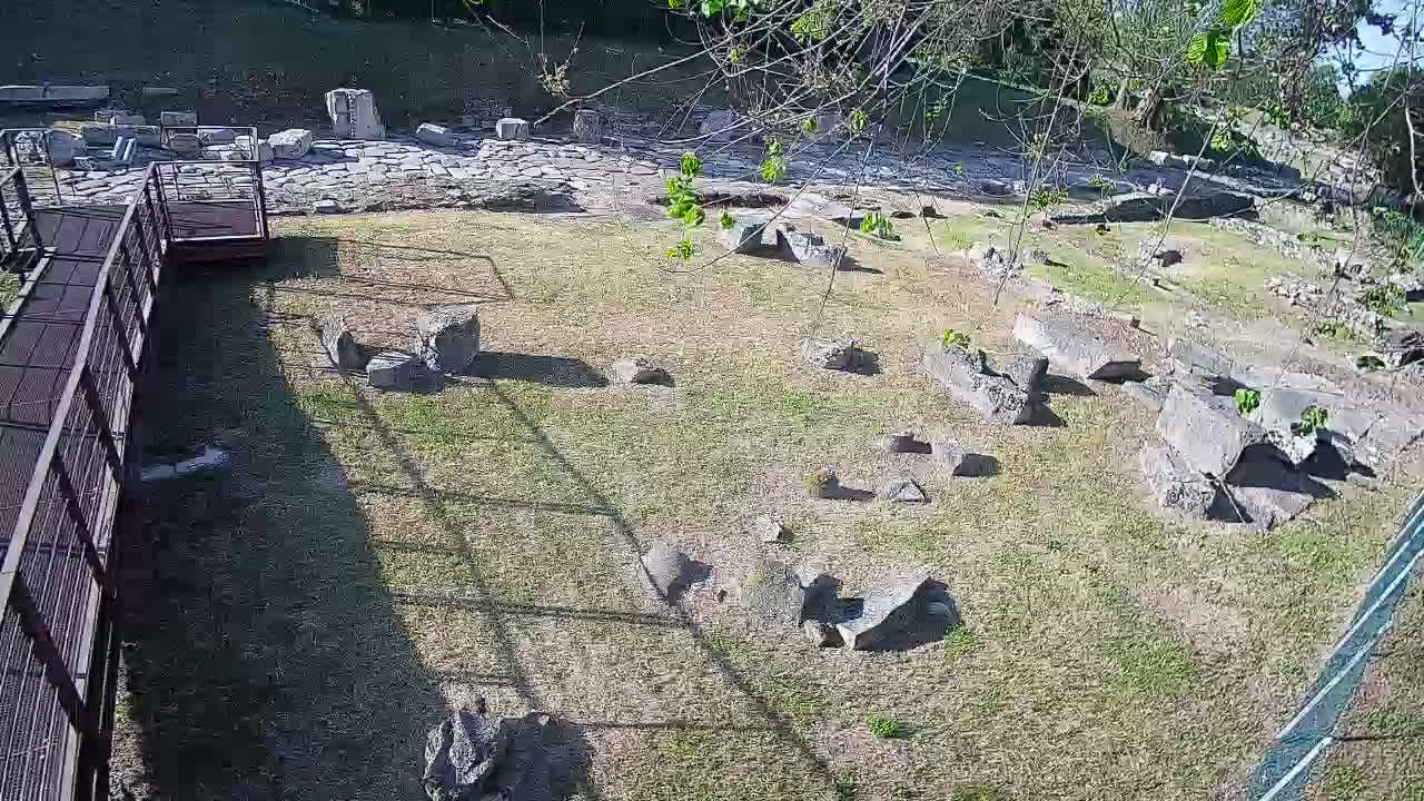 Aquileia – Decumano di Aratria Galla