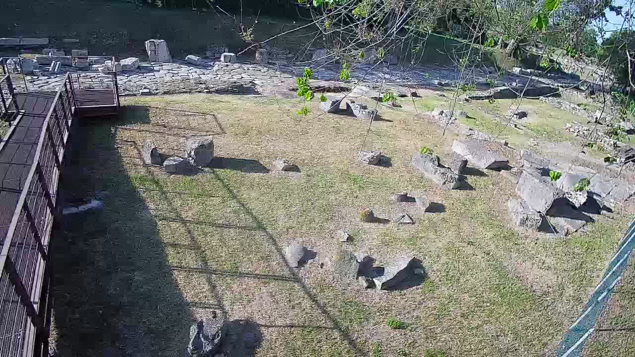 Akvileja – Decumano di Aratria Galla