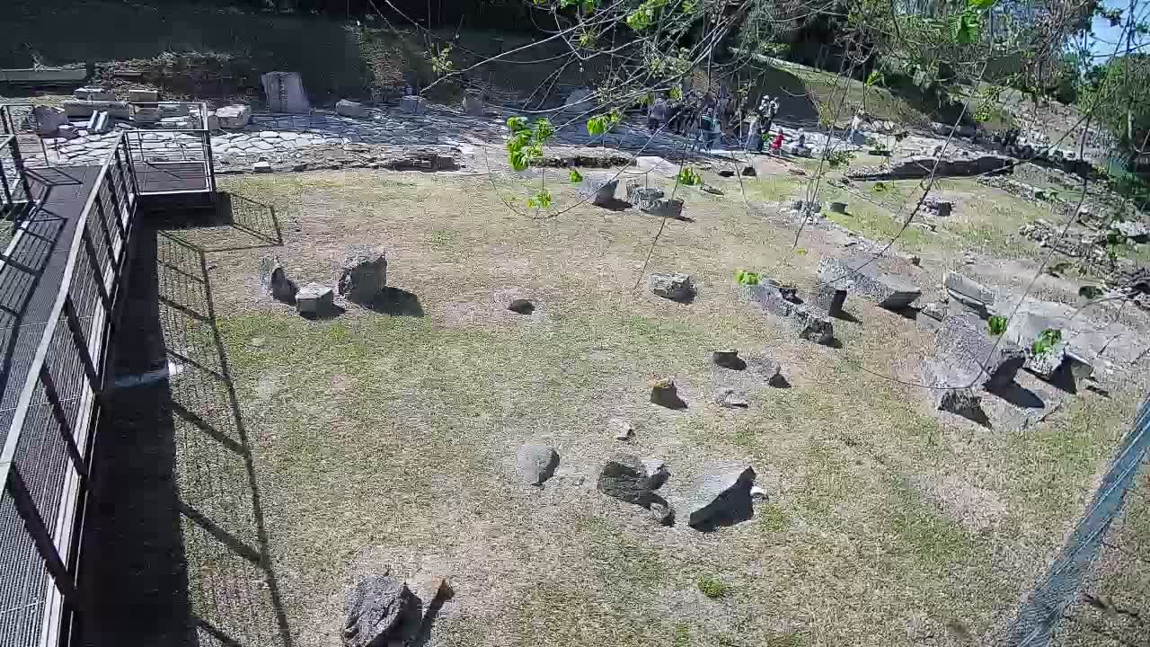 Akvileja – Decumano di Aratria Galla