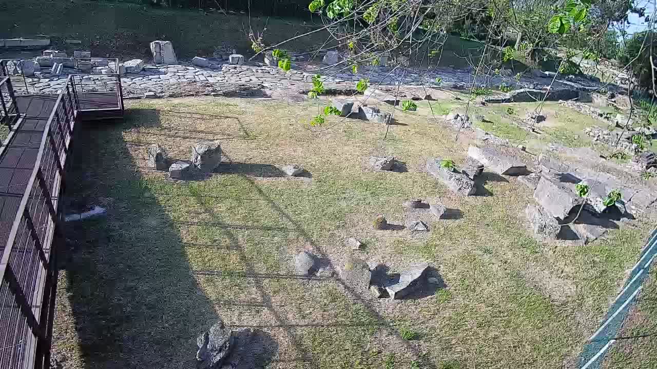 Akvileja – Decumano di Aratria Galla