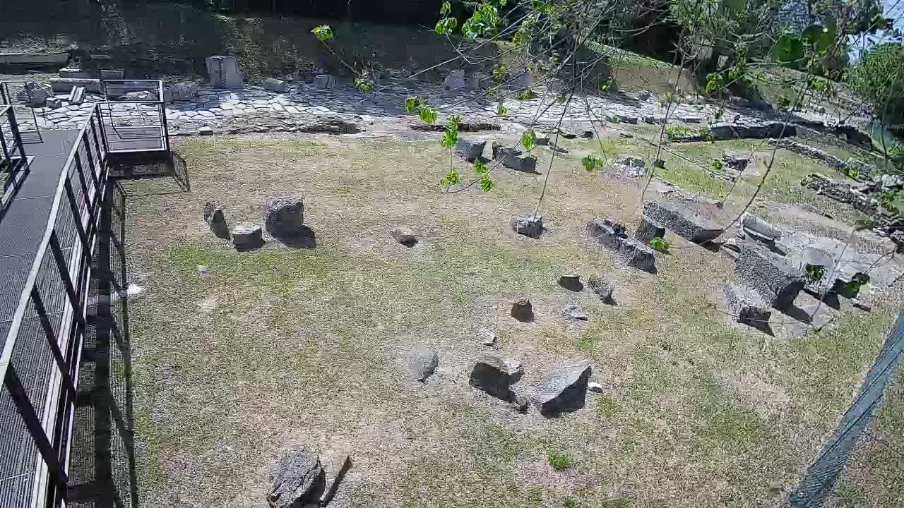 Aquileia – Decumano di Aratria Galla