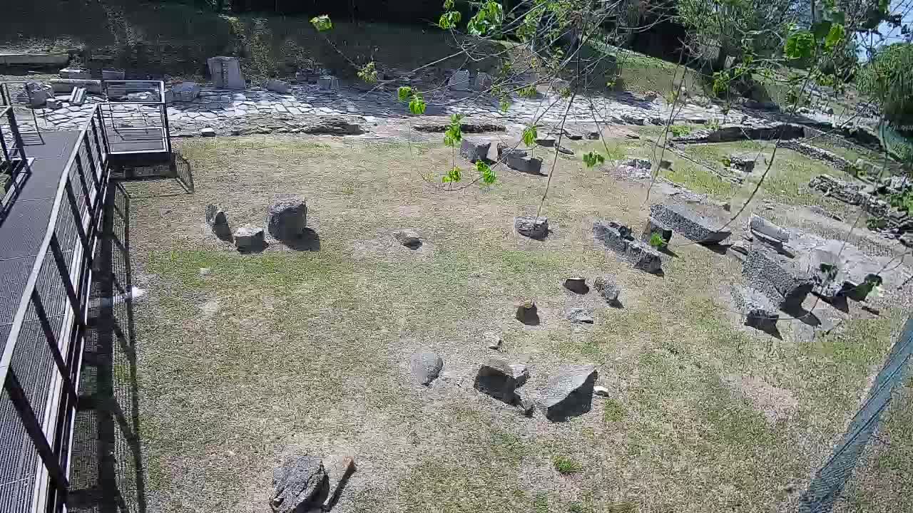 Aquileia – Decumano di Aratria Galla