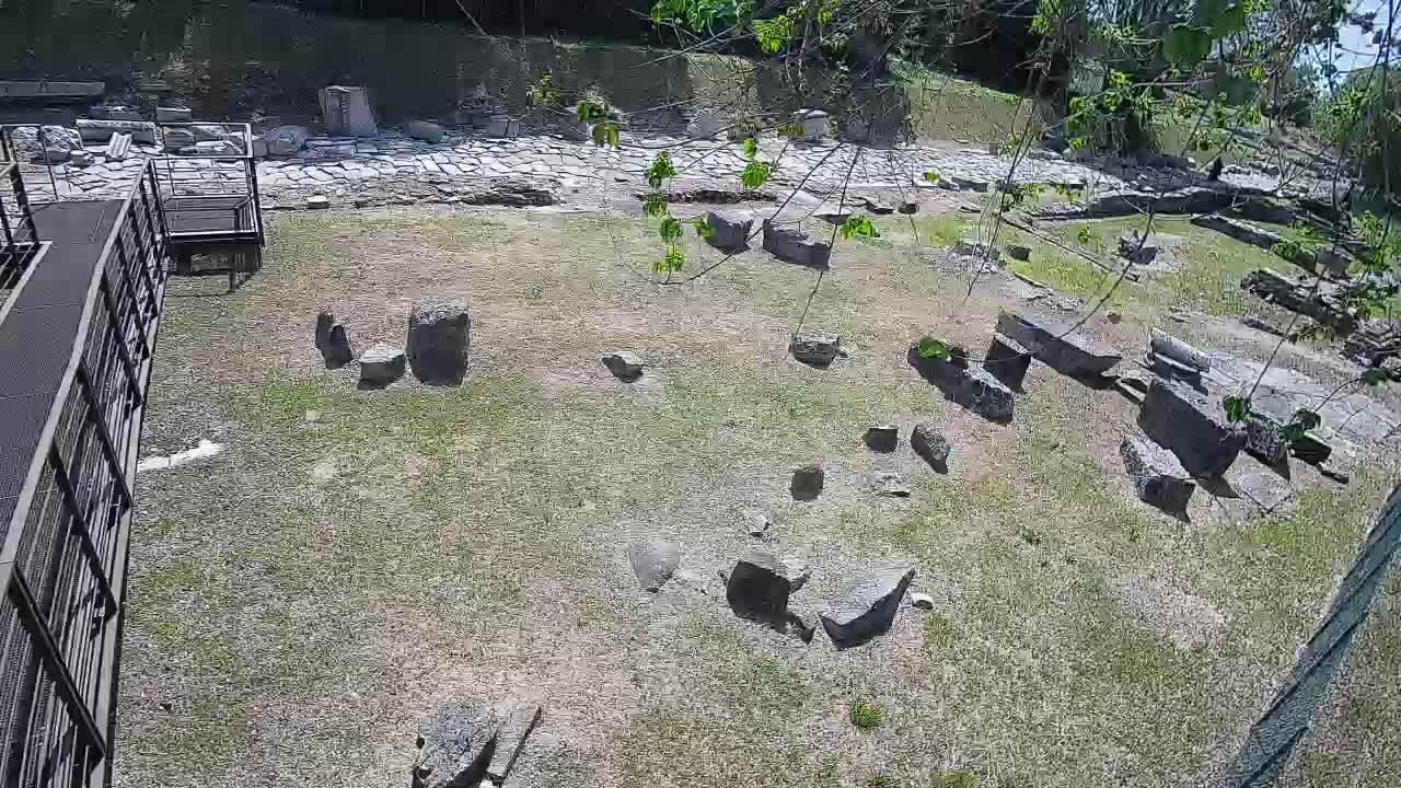 Aquileia – Decumano di Aratria Galla