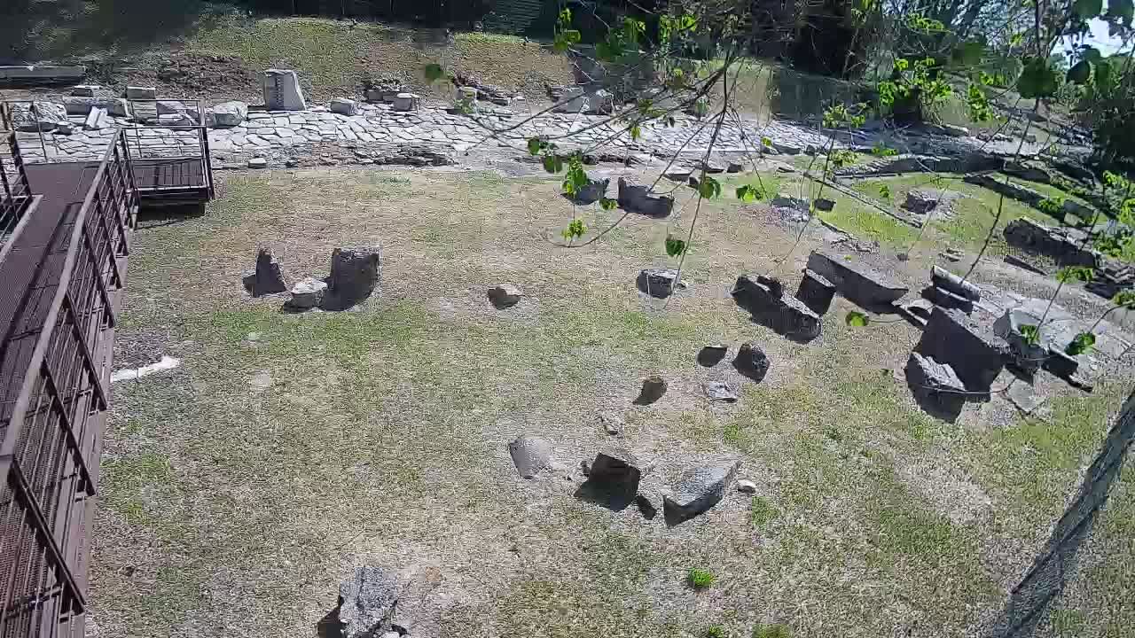 Aquileia – Decumano di Aratria Galla