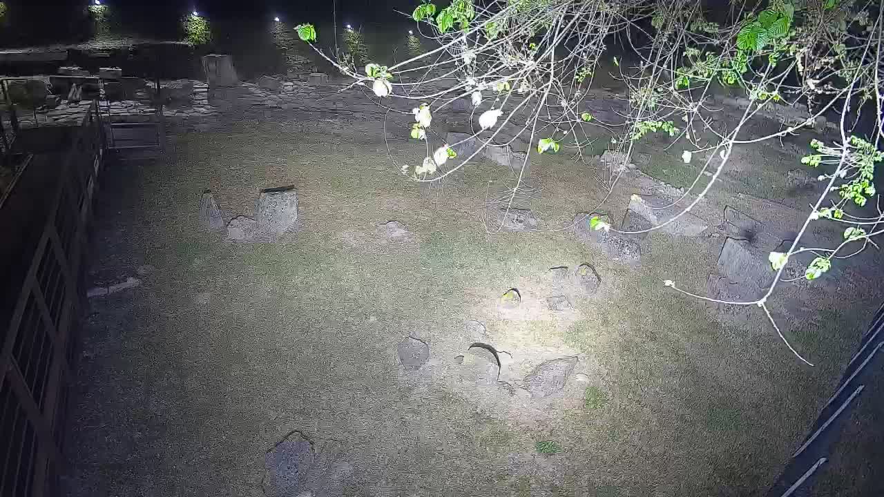 Akvileja – Decumano di Aratria Galla