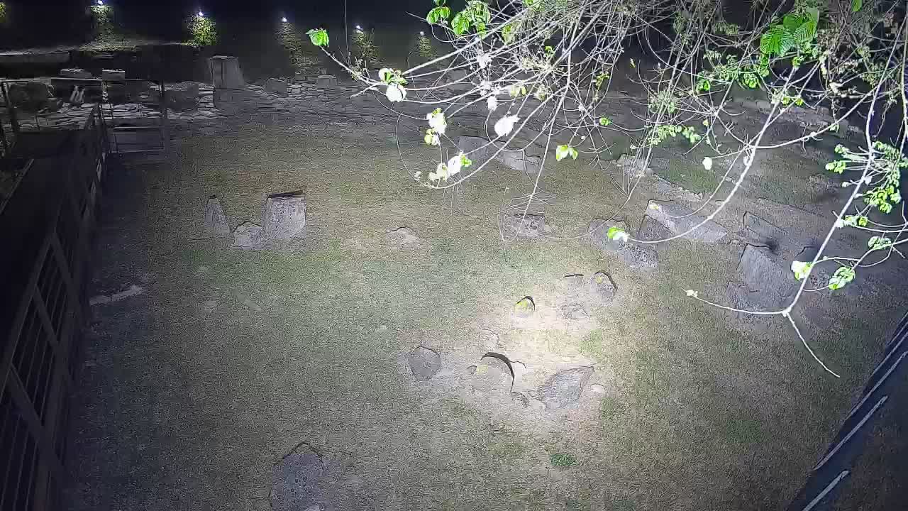 Akvileja – Decumano di Aratria Galla