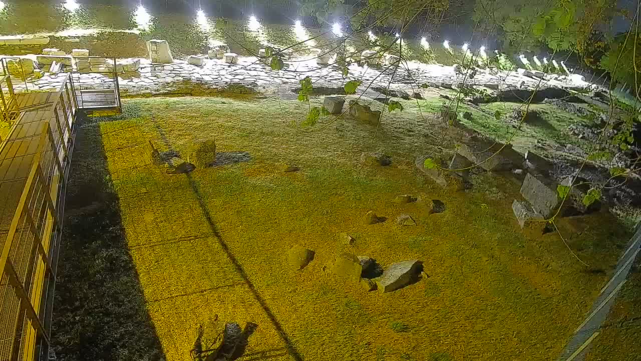 Akvileja – Decumano di Aratria Galla