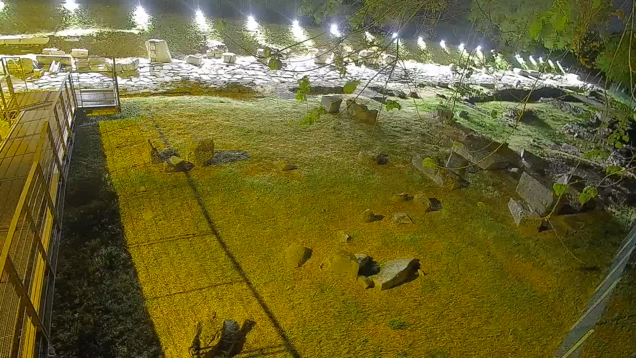 Aquileia – Decumano di Aratria Galla