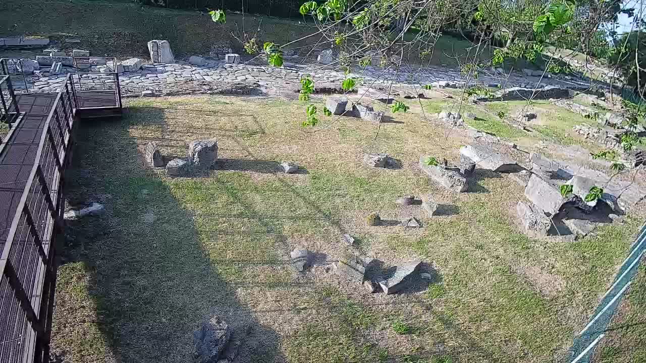 Aquileia – Decumano di Aratria Galla