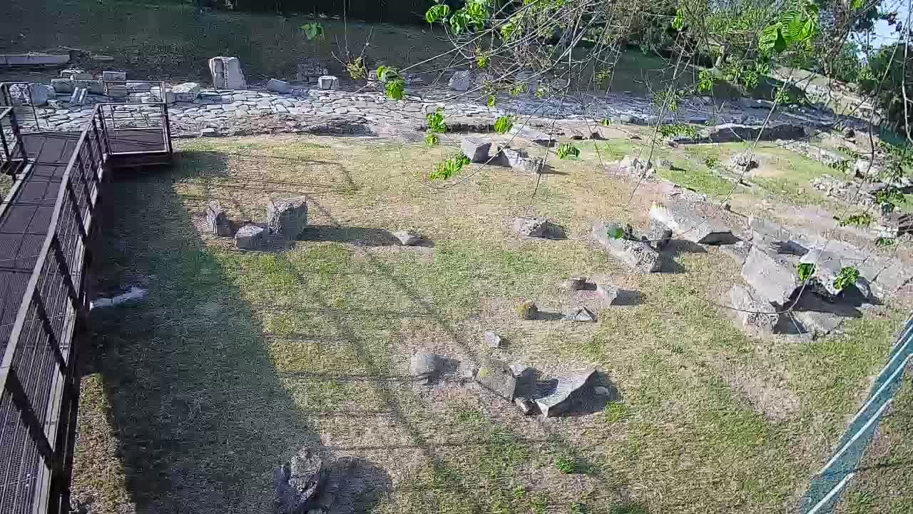 Aquileia – Decumano di Aratria Galla