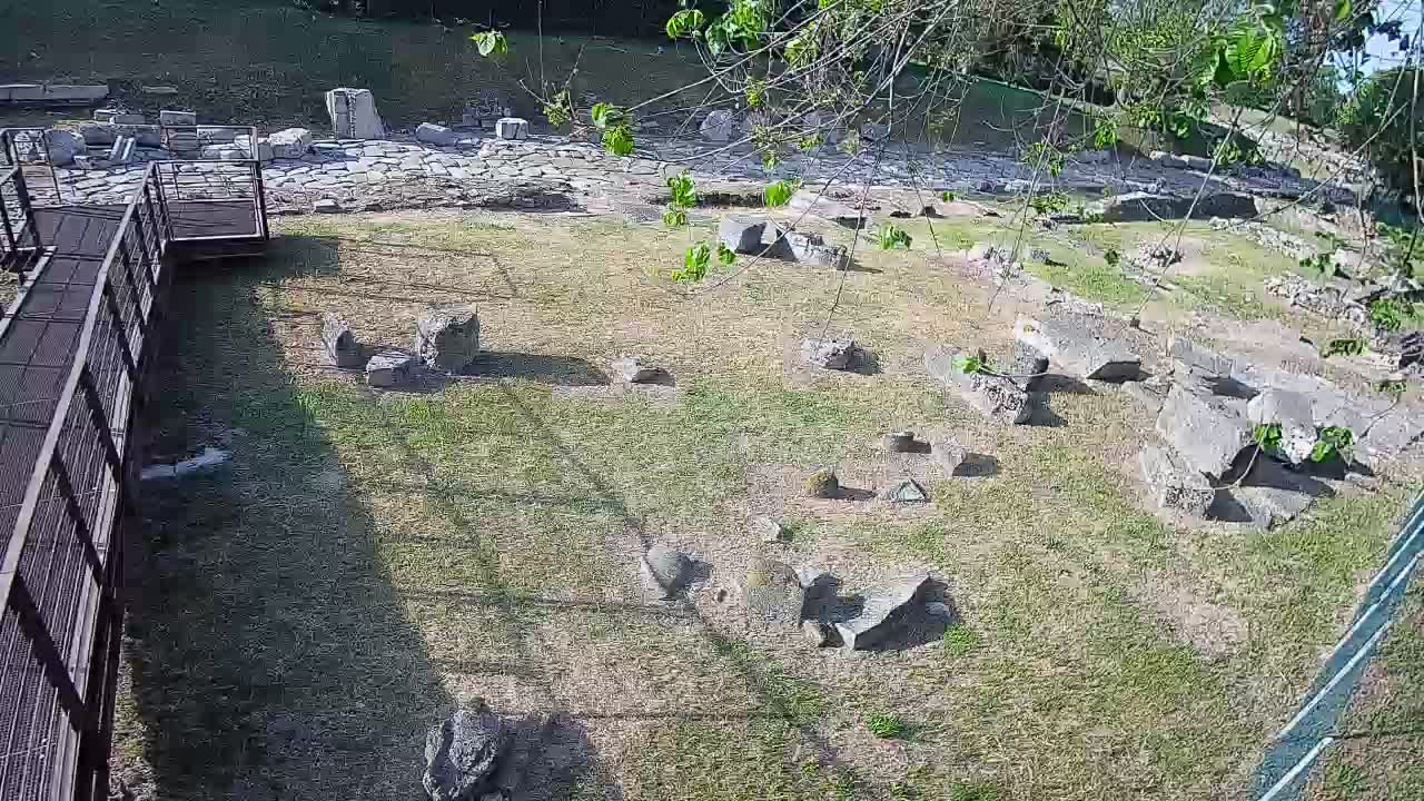 Aquileia – Decumano di Aratria Galla