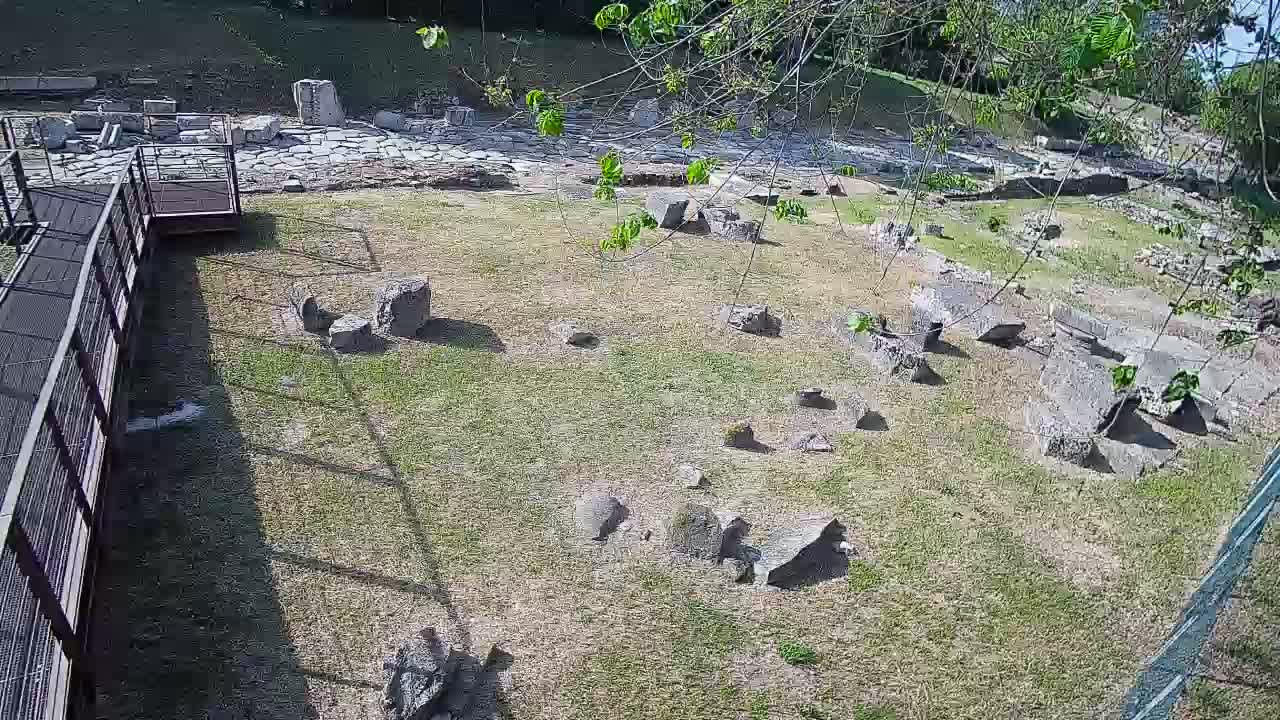 Aquileia – Decumano di Aratria Galla