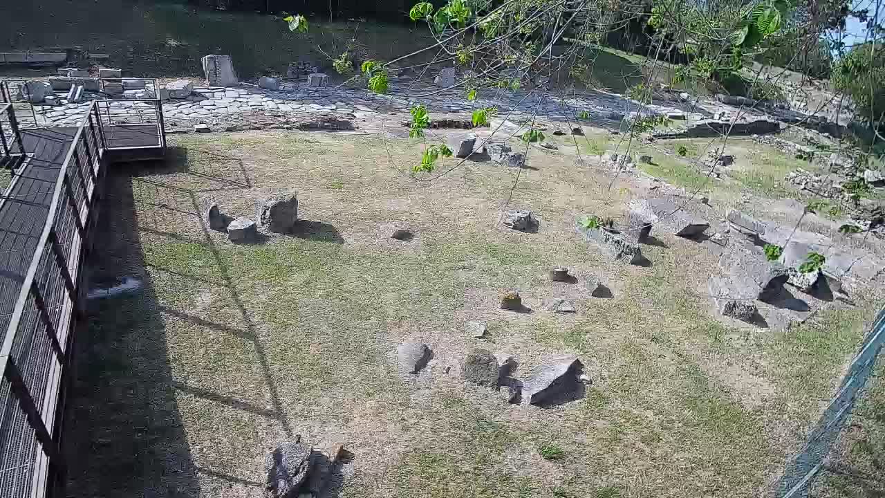 Aquileia – Decumano di Aratria Galla