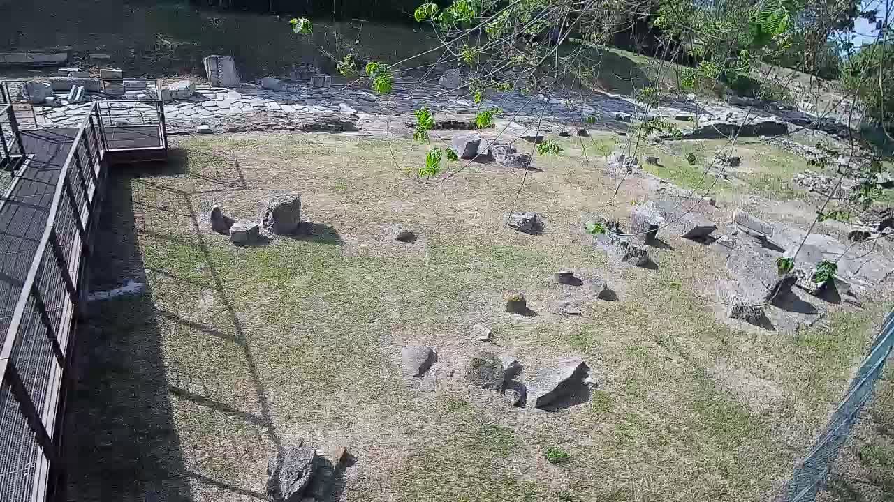 Akvileja – Decumano di Aratria Galla