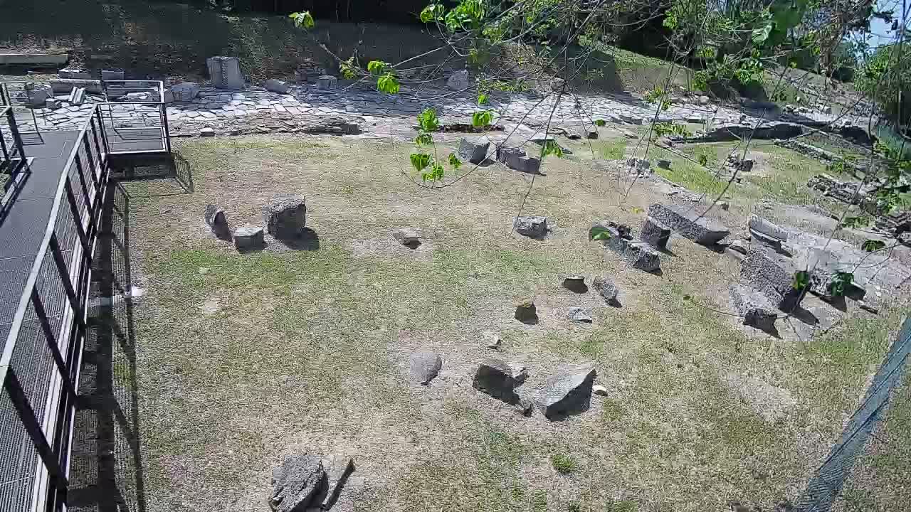 Aquileia – Decumano di Aratria Galla